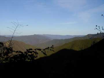 玖木山林道