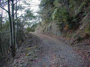 玖木山林道