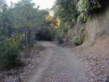 玖木山林道