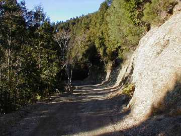 玖木山林道