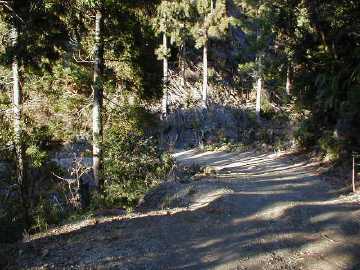 玖木山林道