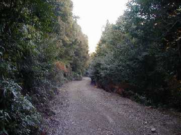 玖木山林道