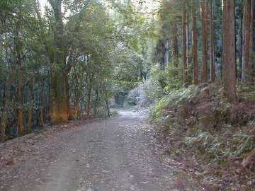 玖木山林道