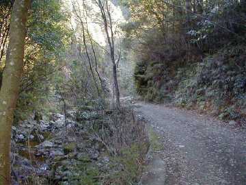 玖木山林道