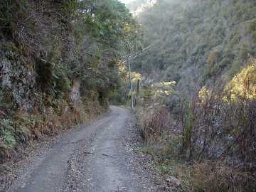 玖木山林道