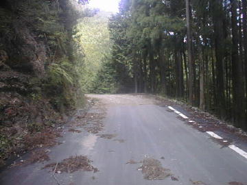 森ヶ内林道