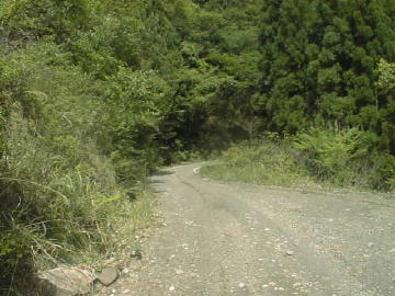 森ヶ内林道