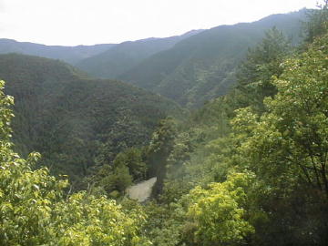 森ヶ内林道
