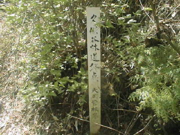 森ヶ内林道