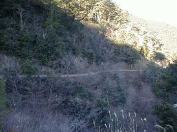 森ヶ内林道