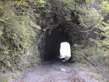 長沢林道
