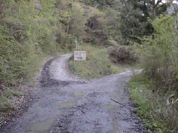 長沢林道