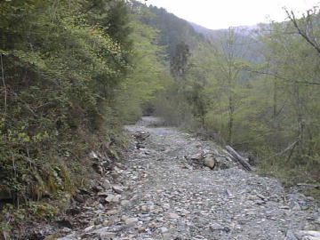長沢林道