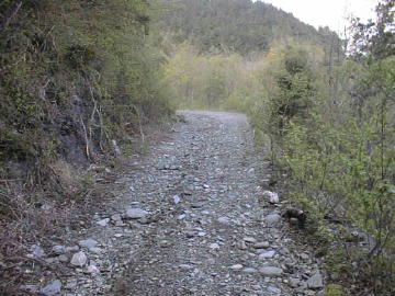長沢林道