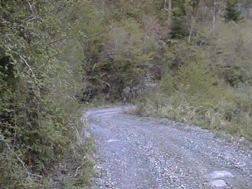 長沢林道