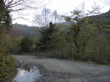 長沢林道