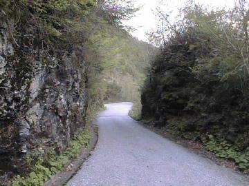 長沢林道