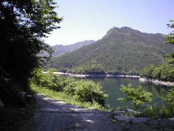 長沢林道