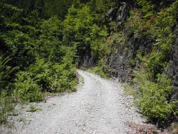 長沢林道