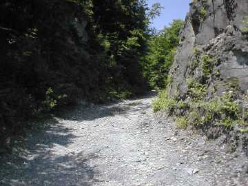 長沢林道