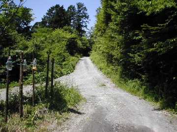 長沢林道