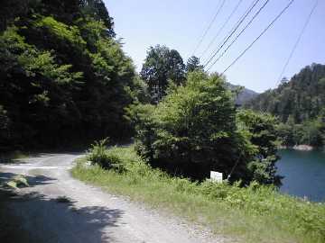 長沢林道