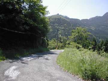 長沢林道