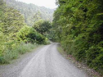 中川林道