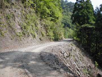 中川林道