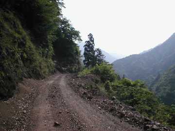 中川林道