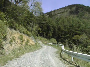 中の川井桑林道