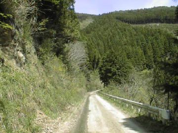 中の川井桑林道