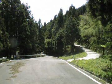 中の川井桑林道