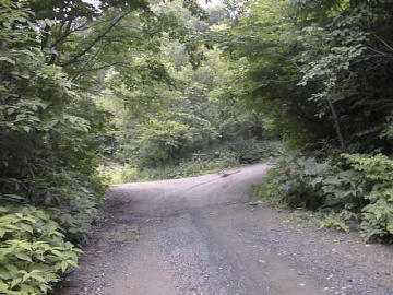 鎌内林道