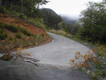 中の川井桑林道