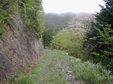 中の川井桑林道