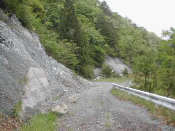 中の川井桑林道