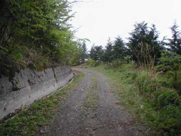 中の川井桑林道