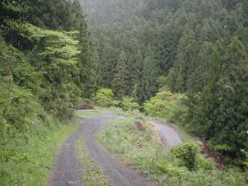 中の川井桑林道