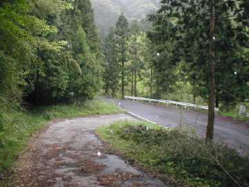 中の川井桑林道