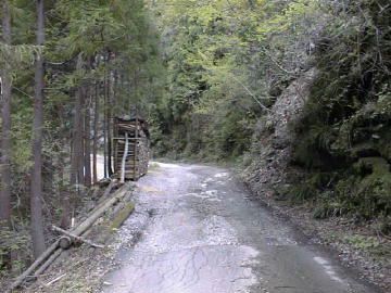 仁尾ヶ内林道