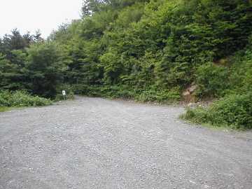 仁尾ヶ内林道