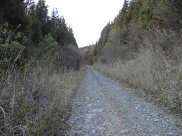 西峰林道