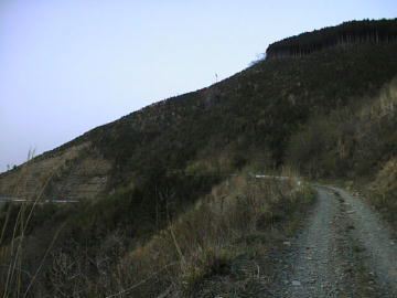 西峰林道