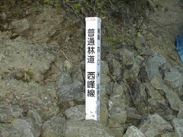 西峰林道