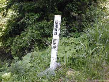 西峰林道