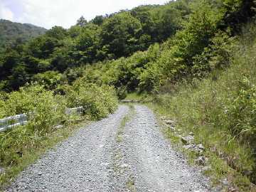 西峰林道