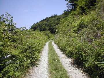 西峰林道