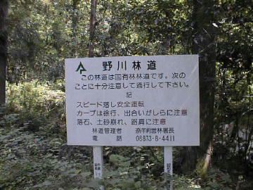 野川林道