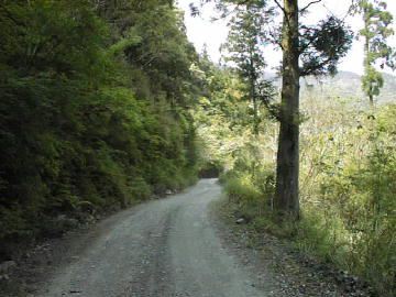 野川林道